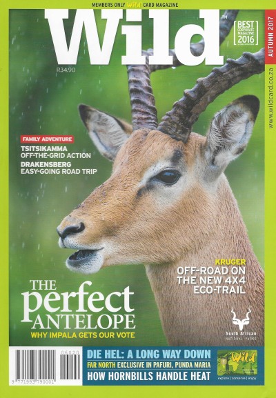 Cover of Wild Magazine - Issue 38 - Autumn 2017