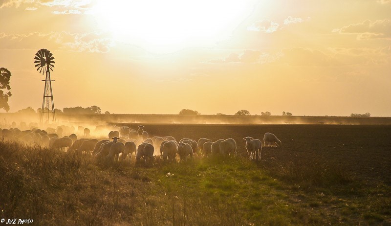 Farm near Senekal