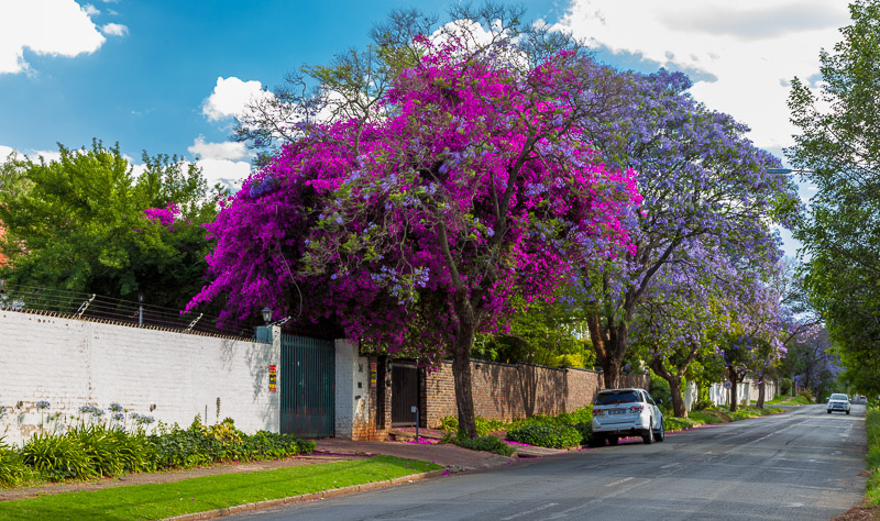 Melville suburb