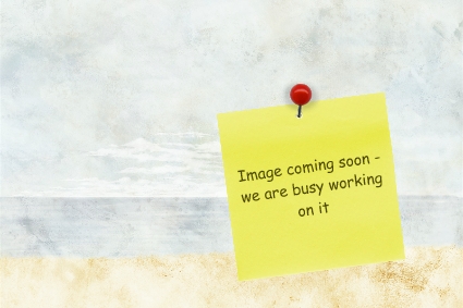 Image coming soon