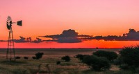 Visit the Free State