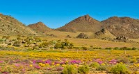 Visit the Northern Cape
